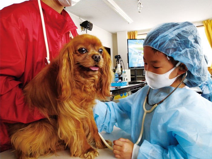 【こどもの休日の過ごし方】現役の獣医に学ぶ職業体験！「獣医さん体験スクール」