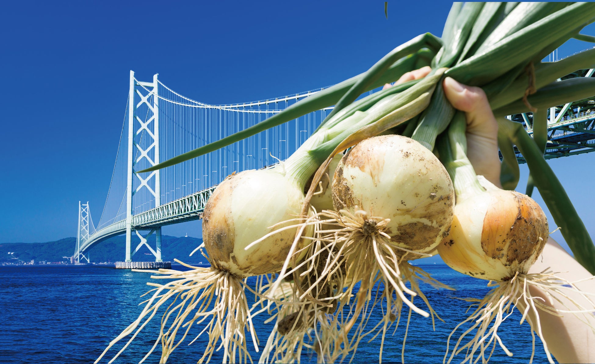 “陶芸×民泊” 宮川陶苑風雅庵がオープン