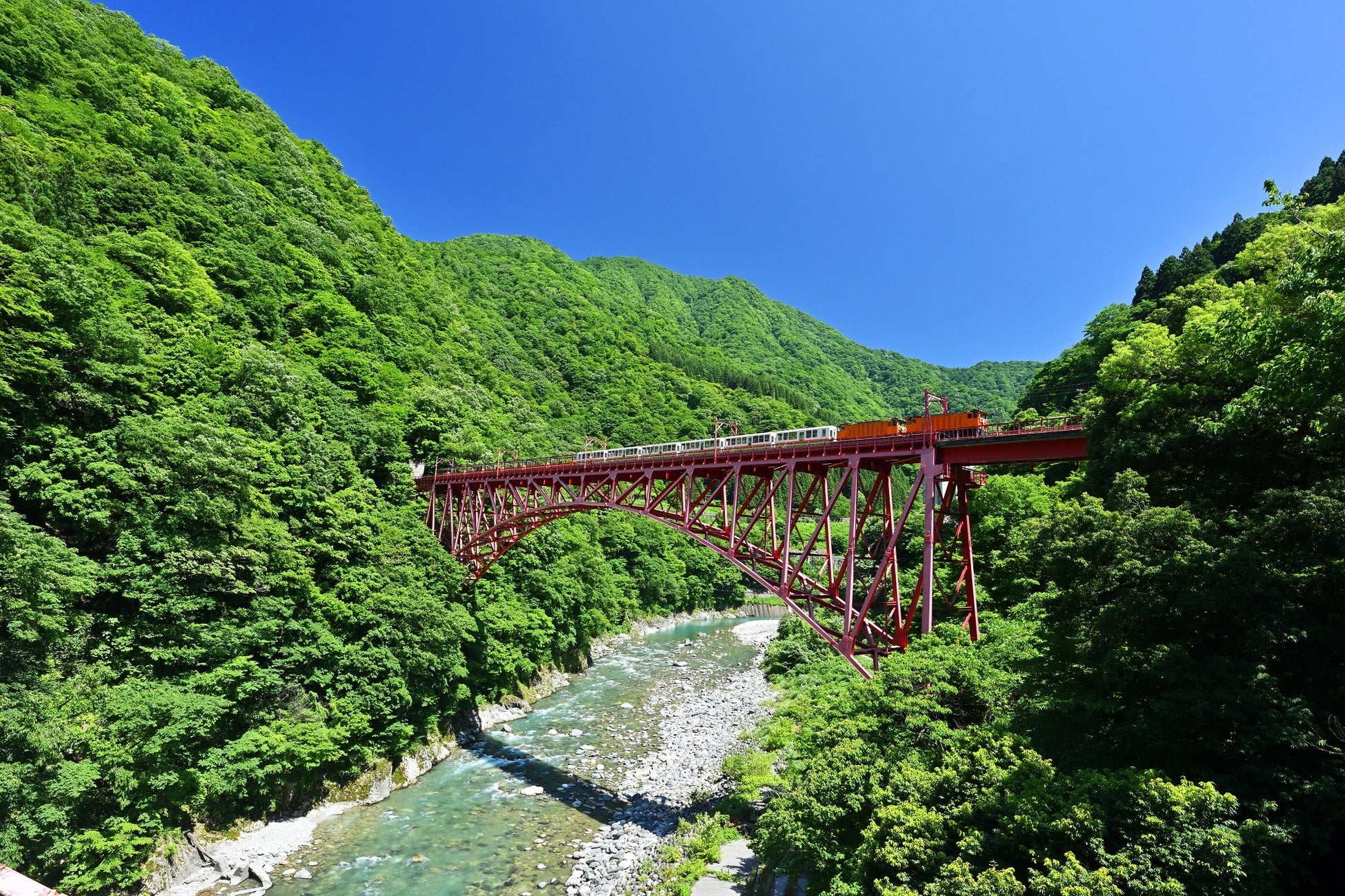 シーズナルコース「ROSA」薔薇に包まれる美食体験