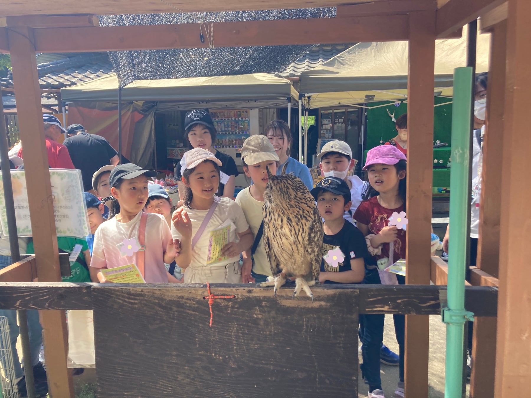 【こどもの休日の過ごし方】20名限定！どうぶつ博士1dayキャンプ～動物との絆を深める「獣医さん＆ふれあい」体験～