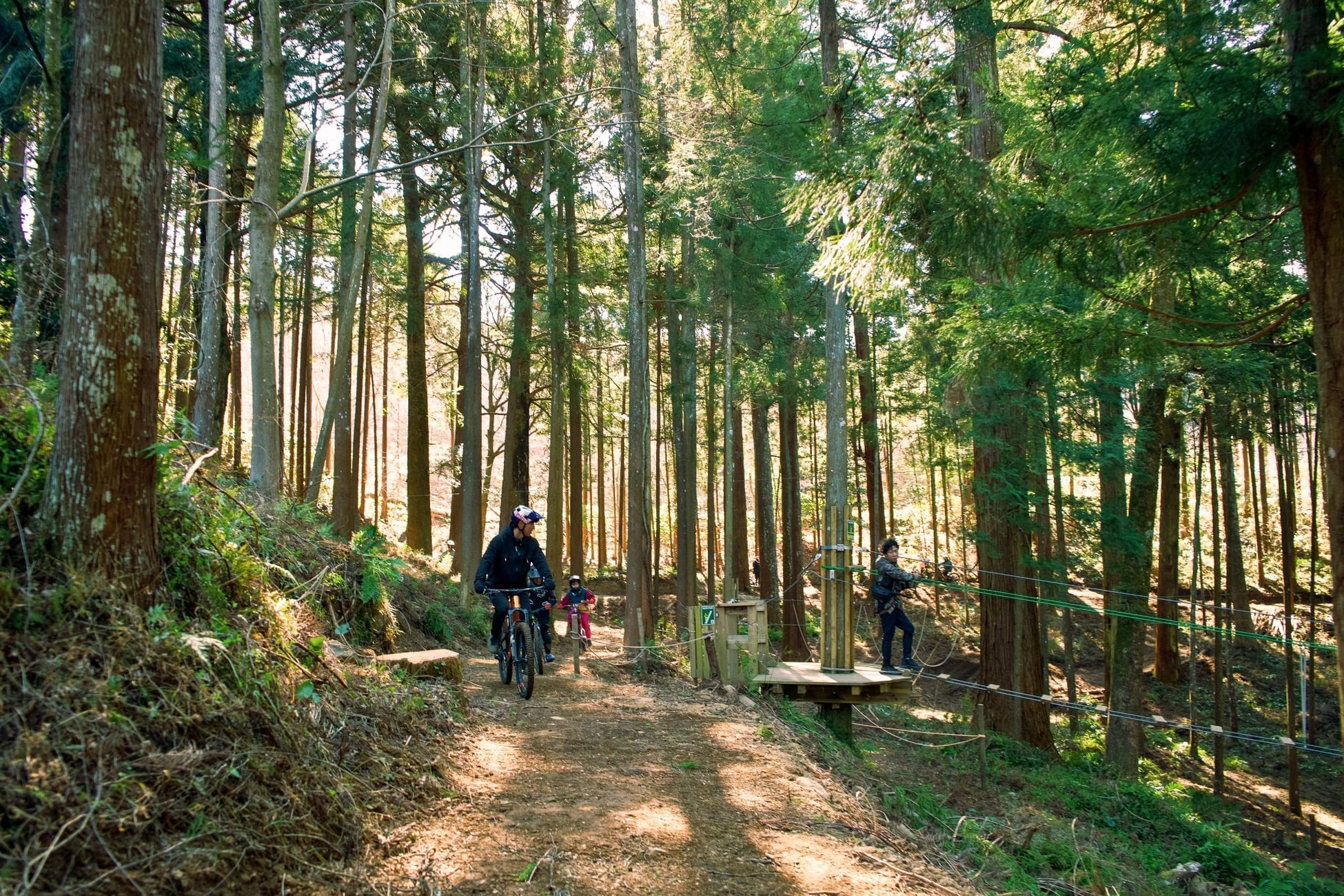 株式会社エイアンドエフ、神奈川県小田原市「フォレストバイク」に新コース「大樹の森」を造成。森林資源を活かした「トレイル事業」で、地域振興と持続可能な森林経営のモデルケースを提示。