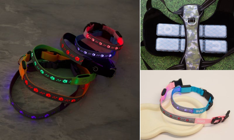 夜間の安全と、夏場の涼しさを同時に叶える！SUOから愛犬を守る「光るハーネス・首輪・リード」が新登場