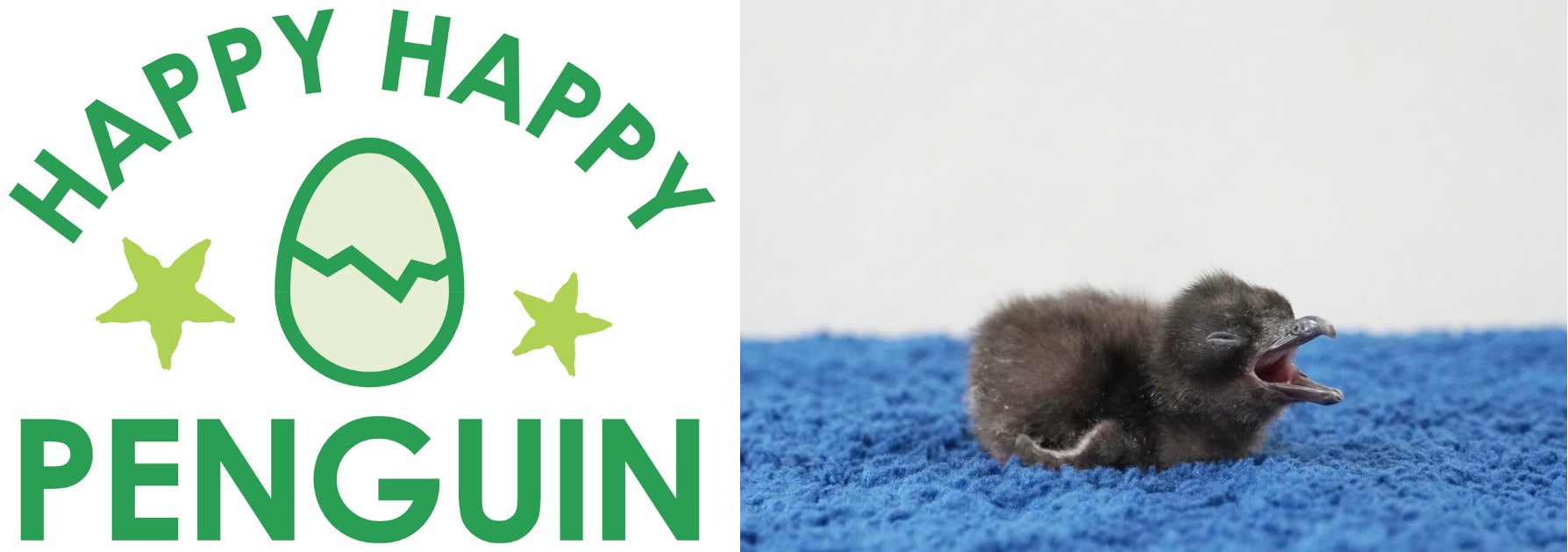 【バンヤンツリー・東山 京都】京都・東山に新たな食の舞台「りょうぜん 杦 別邸」登場