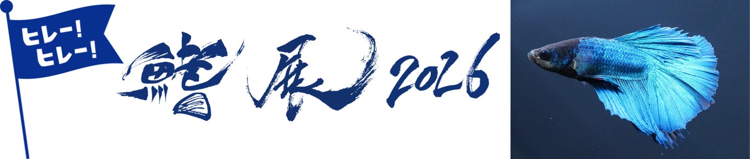 ヒレー！ヒレー！ヒレがあればなんでもできる ヒレから北海道の新⽣活を大応援！企画展「鰭展」の詳細を発表