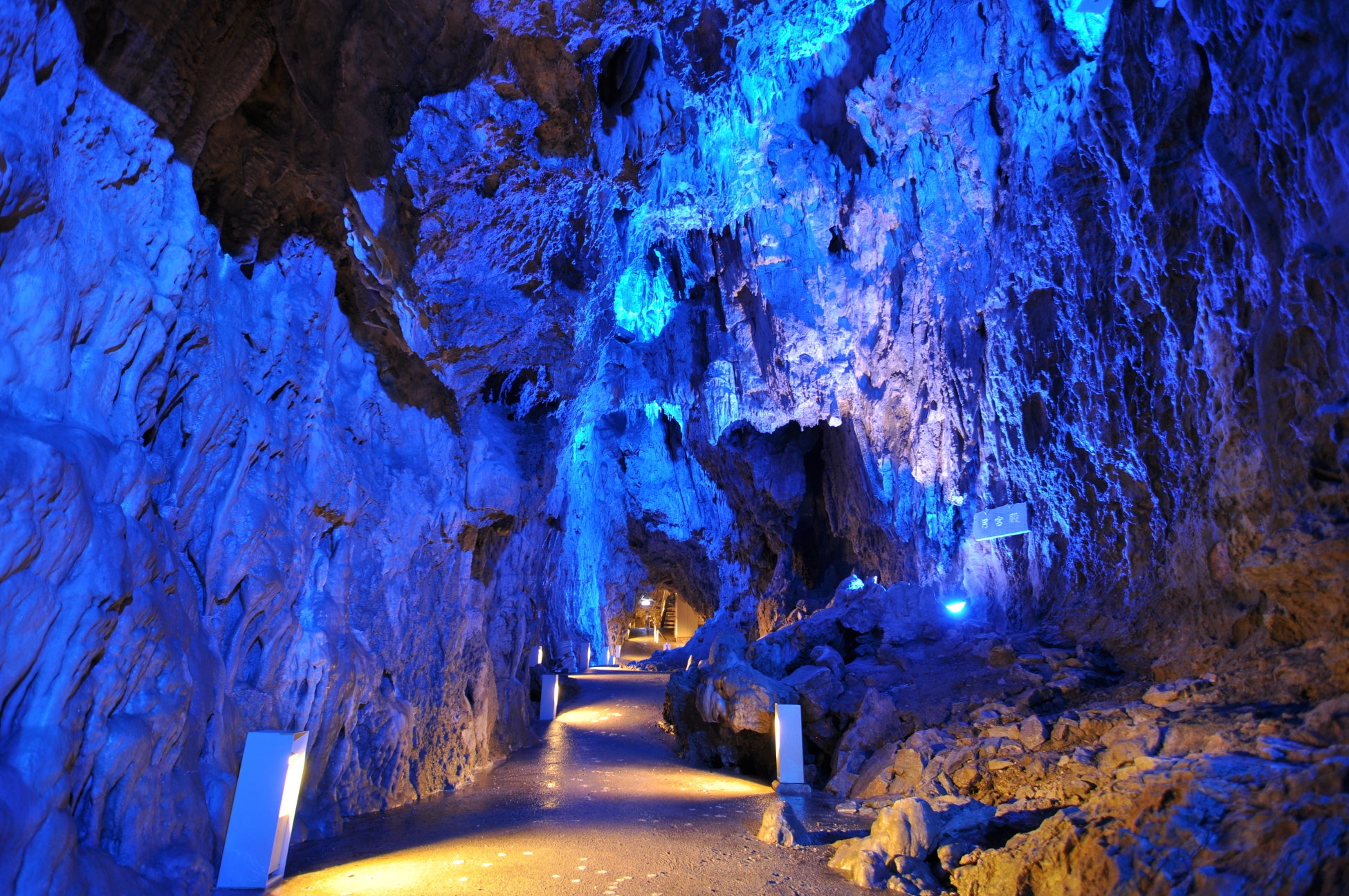 【導入事例】長井海の手公園 ソレイユの丘に、次世代モビリティ「EVトレイン」を提供