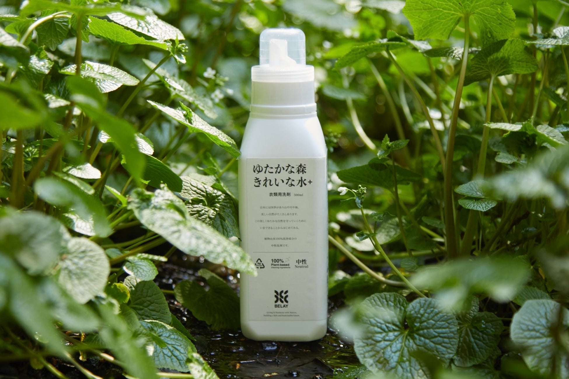 アウトドア衣類用洗剤「ゆたかな森きれいな水＋」をゴールドウイン監修のもと2026年3月27日（金）に発売