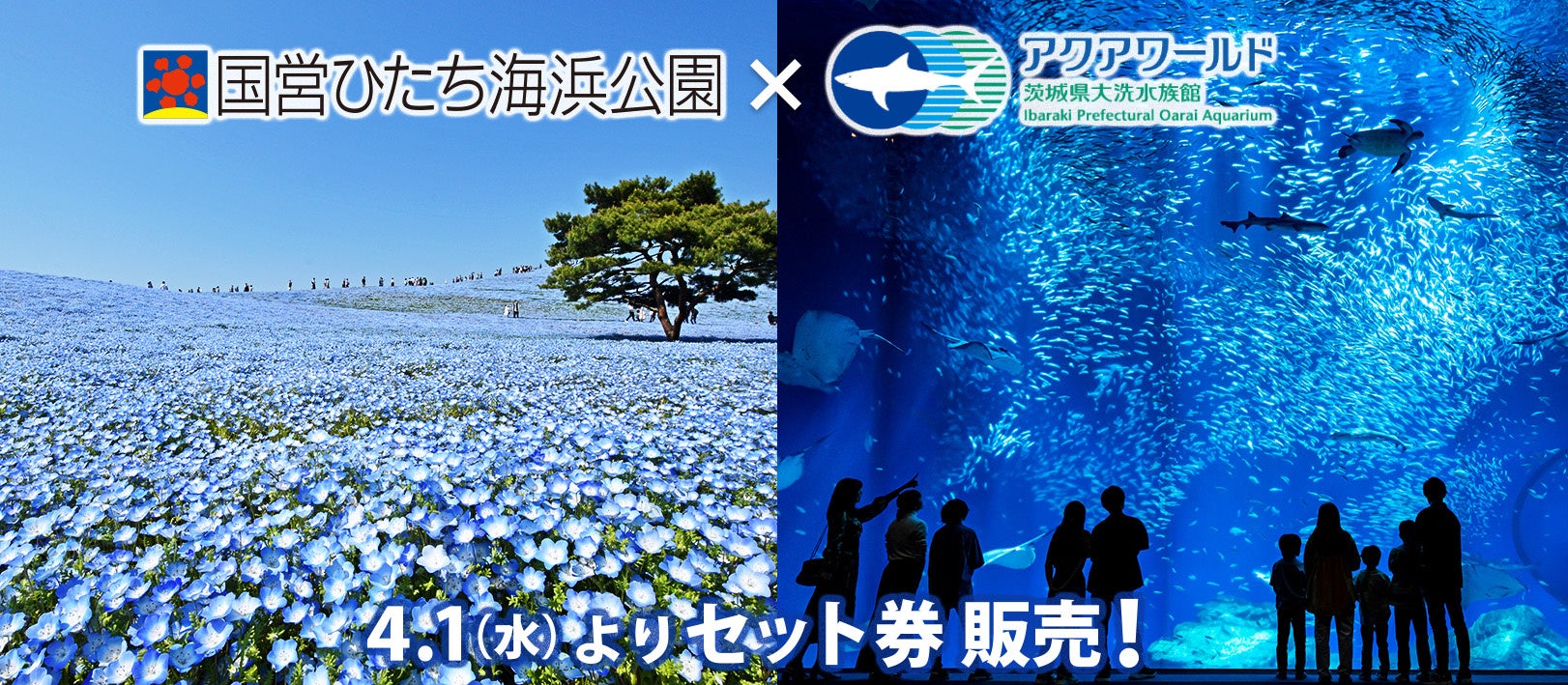 「国営ひたち海浜公園・アクアワールド茨城県大洗水族館」前売り入園セット券を販売します