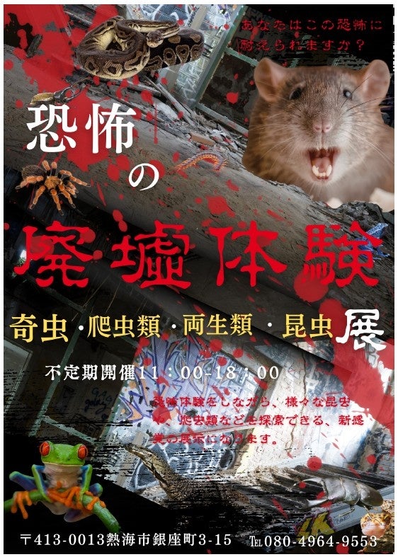 【業界初!?】静岡県熱海市に「廃墟動物園」が誕生！懐中電灯一つで夜行性生物の生態に迫る、恐怖と発見の新感覚エキゾチック・アニマル展示が期間限定オープン