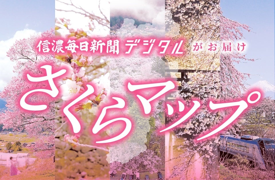 北上する桜前線を追いかけます！　桜の便りは信濃毎日新聞デジタルの「信州さくらマップ」