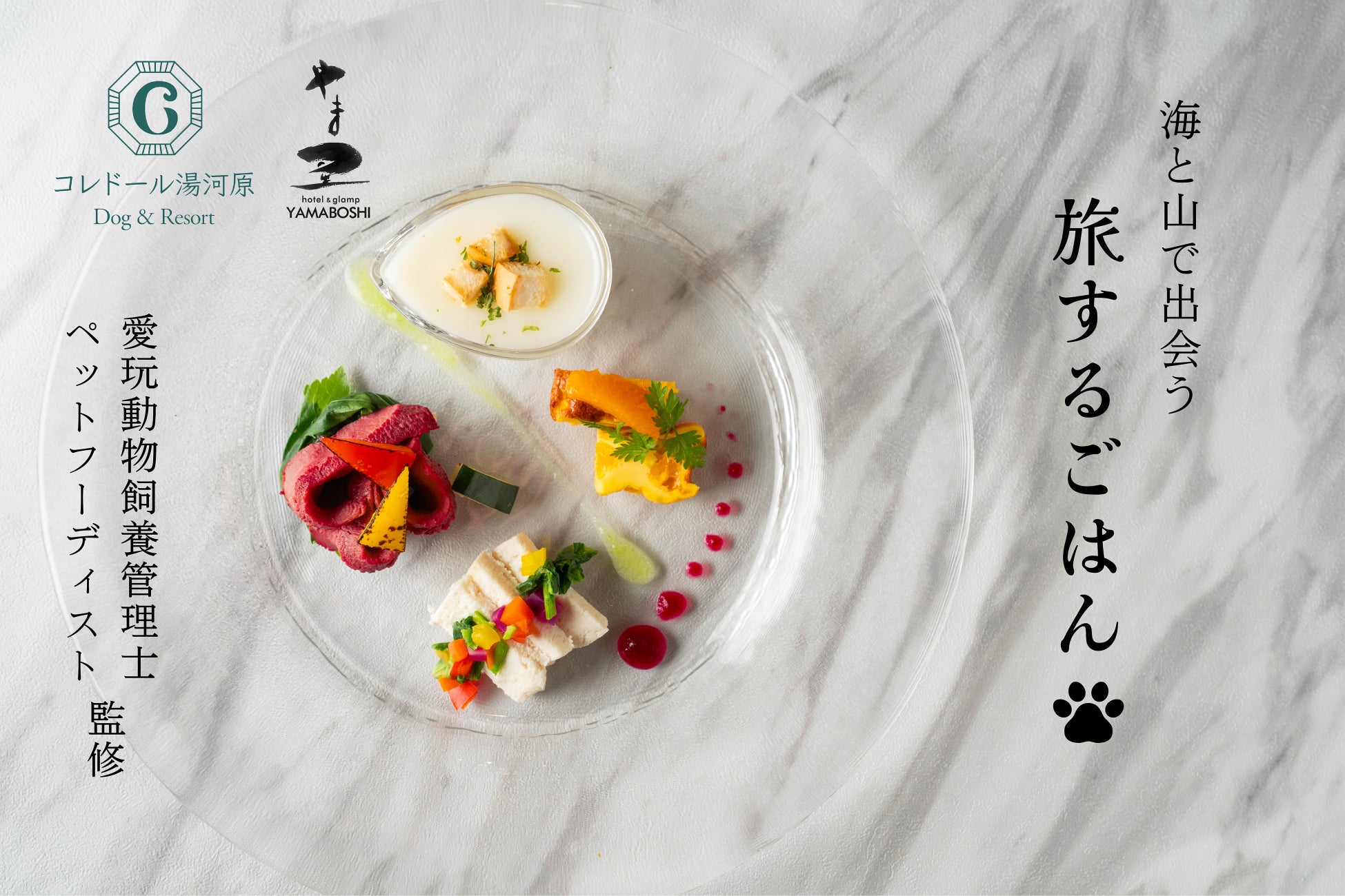 愛犬journey。海と山で出会う、旅するごはん。第二弾　〜より良い愛犬向けホテルを目指す二つのホテルが提案する〜愛犬との新しい旅のカタチ〜