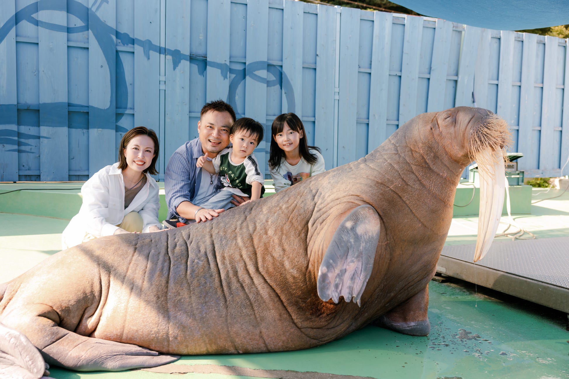 【フェニックス・シーガイア・リゾート】宝石のような輝き、再び。毎月30個限定の宝石スイーツ「ジュエル・エンジェル」第三弾 2026年4月より販売開始