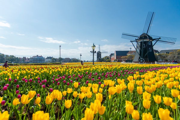 「ハウステンボスでしたいこと」ランキング ～1位は街並み散策？アトラクション？ 阪急交通社が公開～