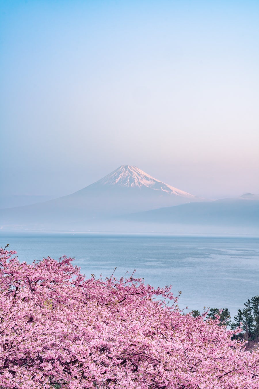 【埼玉県】北部地域の魅力を伝えるPR 動画サイホクセブン(彩北七星) ～彩北の七不思議を追え！～完成！！