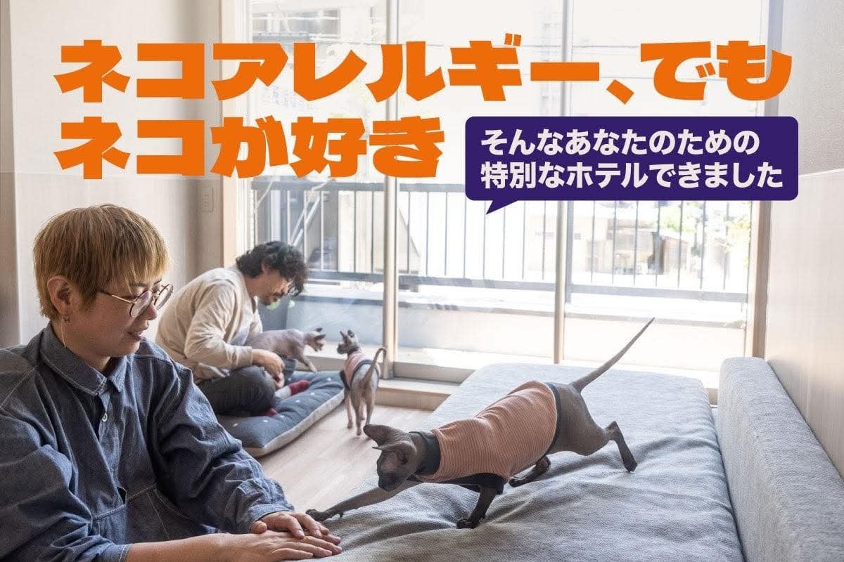 猫アレルギーでも猫と泊まれる宿。香川・高松でクラウドファンディング開始