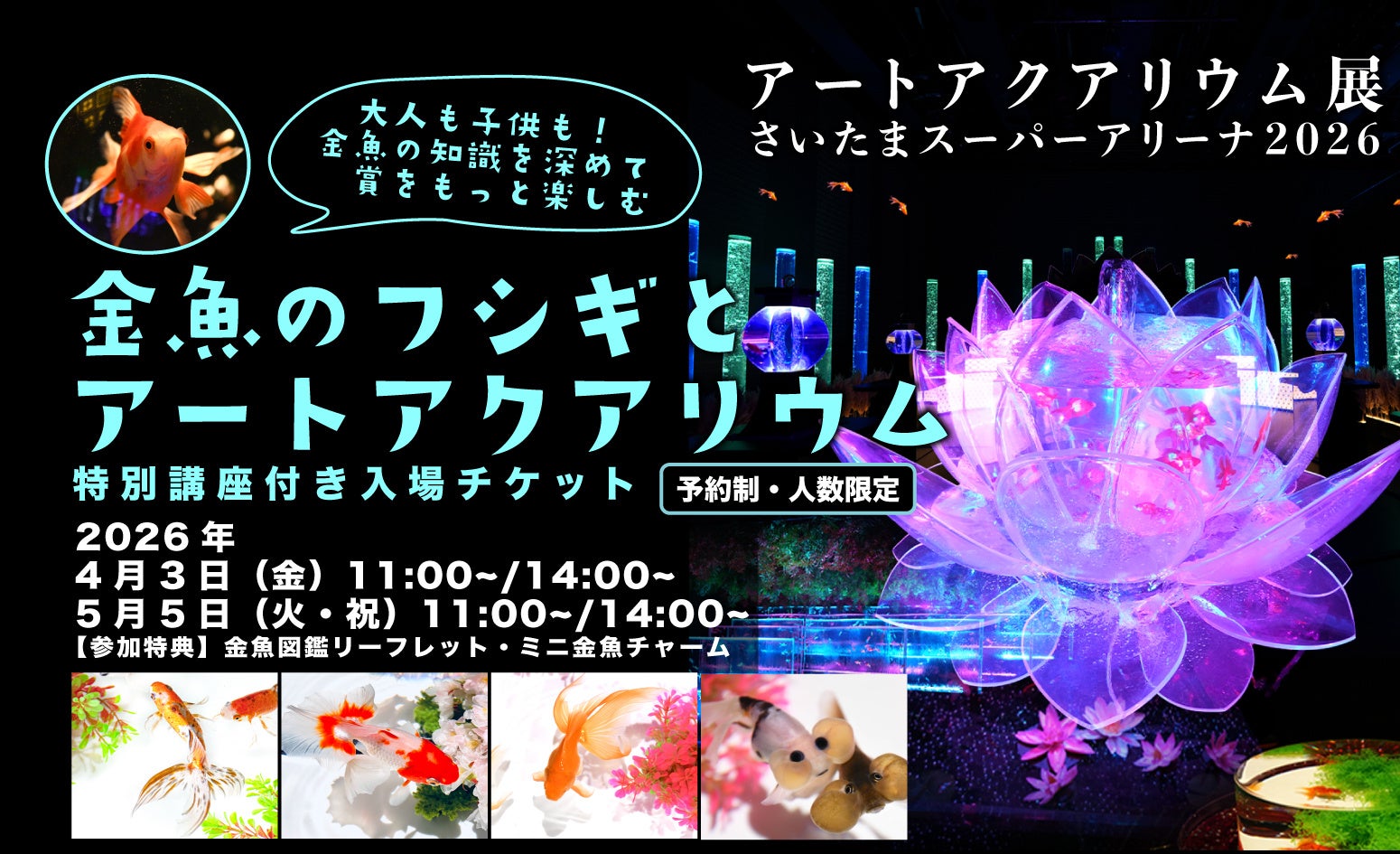 アートアクアリウム展 さいたまスーパーアリーナ2026 「金魚のフシギとアートアクアリウム」がよくわかる特別講座付き鑑賞チケットを先着販売！