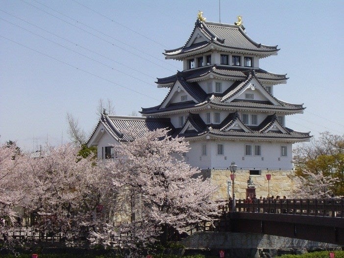 大河ドラマゆかりの地から1500年の巨桜まで岐阜が誇る桜の名所・厳選5スポットをご紹介 | 大河ドラマで注目の戦国史跡と、岐阜の「桜物語」を巡る