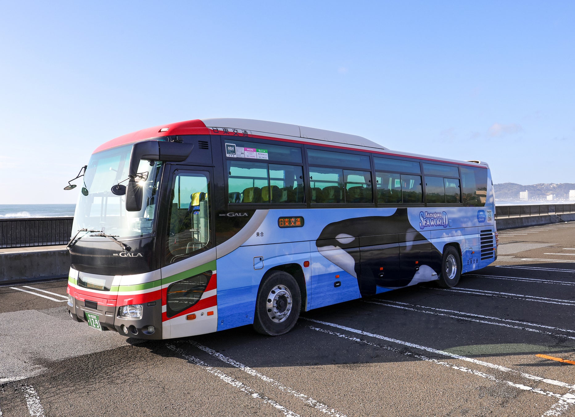 【鴨川シーワールド】東京から鴨川へ、シャチがアクアラインを駆け抜ける！！ 高速バス アクシー号にラッピング車両『旅するシャチ』が登場