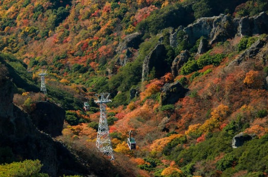 小豆島観光がもっとお得に！寒霞渓ロープウェイ往復乗車券引換券を、ジャンボフェリー神戸のりばで販売開始