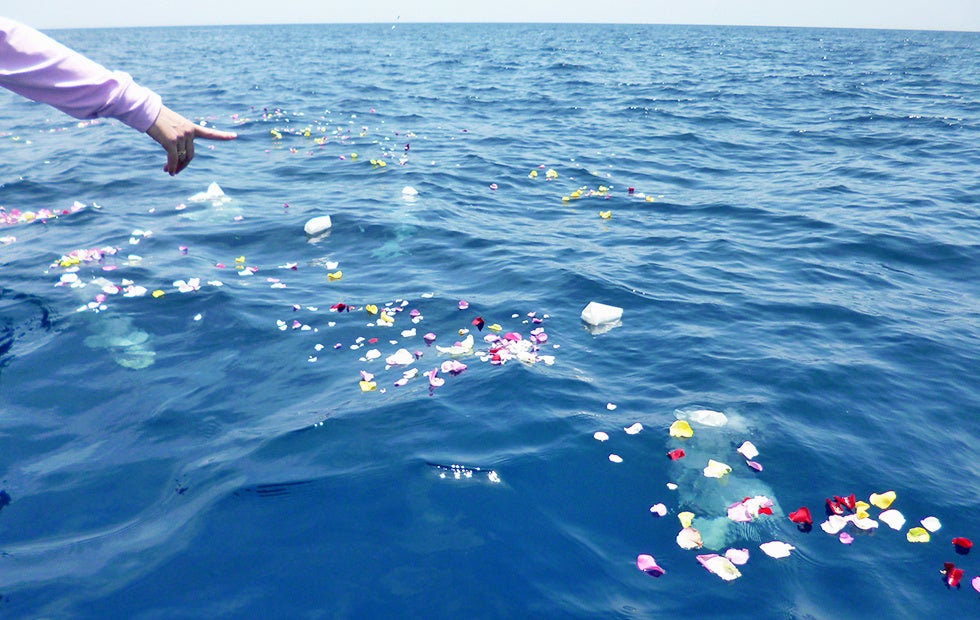 「キャノピーbyヒルトン沖縄宮古島リゾート」2026年4月1日(水)開業