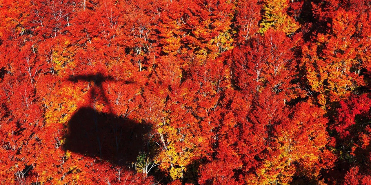 サンエックスユニバースの仲間たちと楽しむ「ピクニック」がテーマ　「サンエックスユニバース×東京タワー わくわく芝サン歩」　GW後半、5月2日（土）より開催！