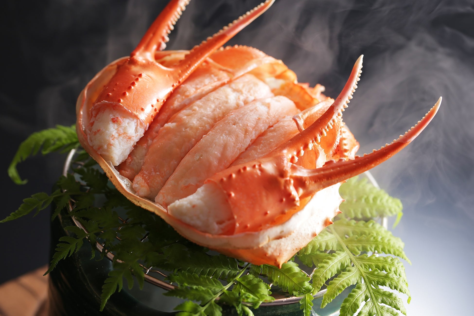 兵庫・湯村温泉「湧泉の宿ゆあむ」、春の味覚「香住ガニ付」プランを販売【2026年4月1日（水）～6月15日（月）】