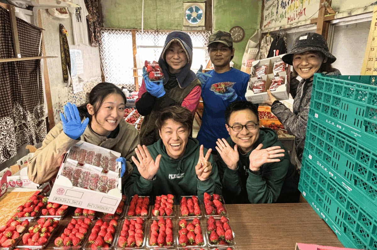 チイオシ鉾田市農業体験プロジェクト、今年度最後のプログラムをいちご農園で実施