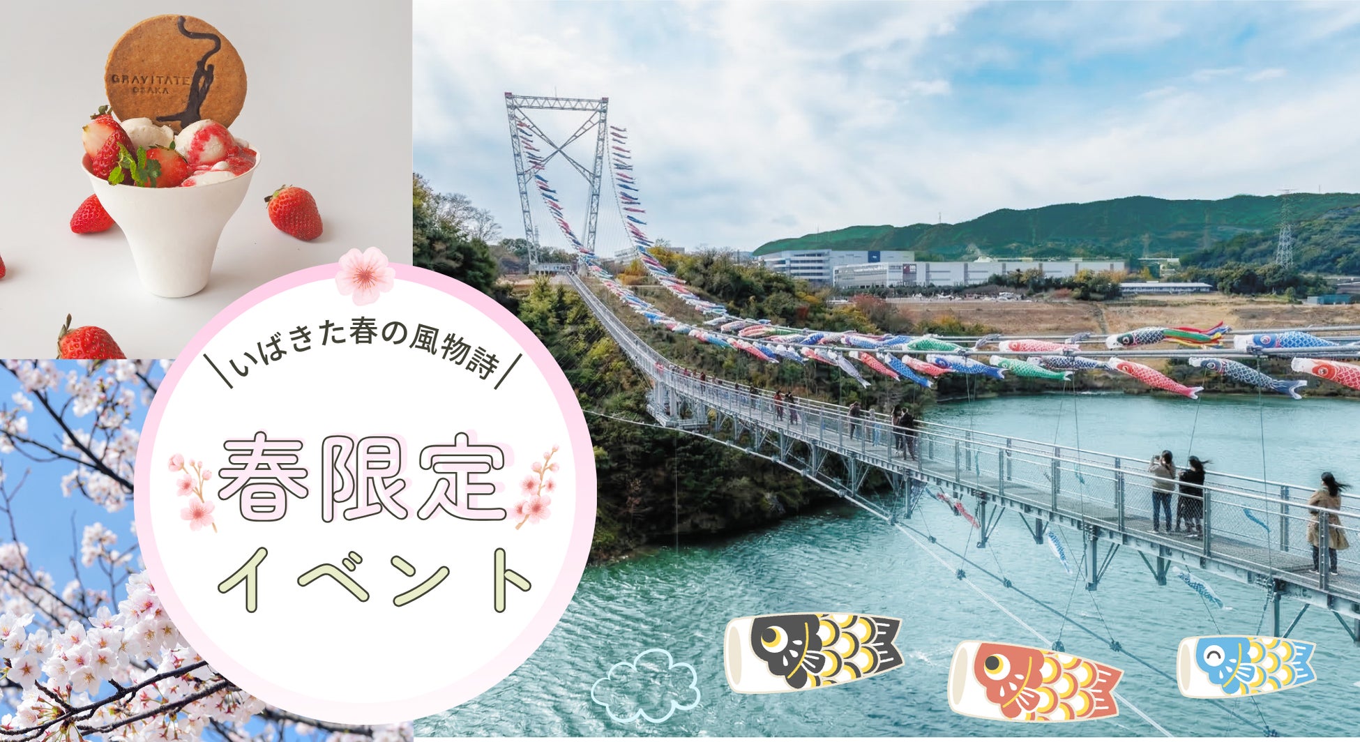 【茨木市の新たな春の風物詩】日本一長いつり橋「GODA BRIDGE」に寄付により集められた鯉のぼりが群泳！