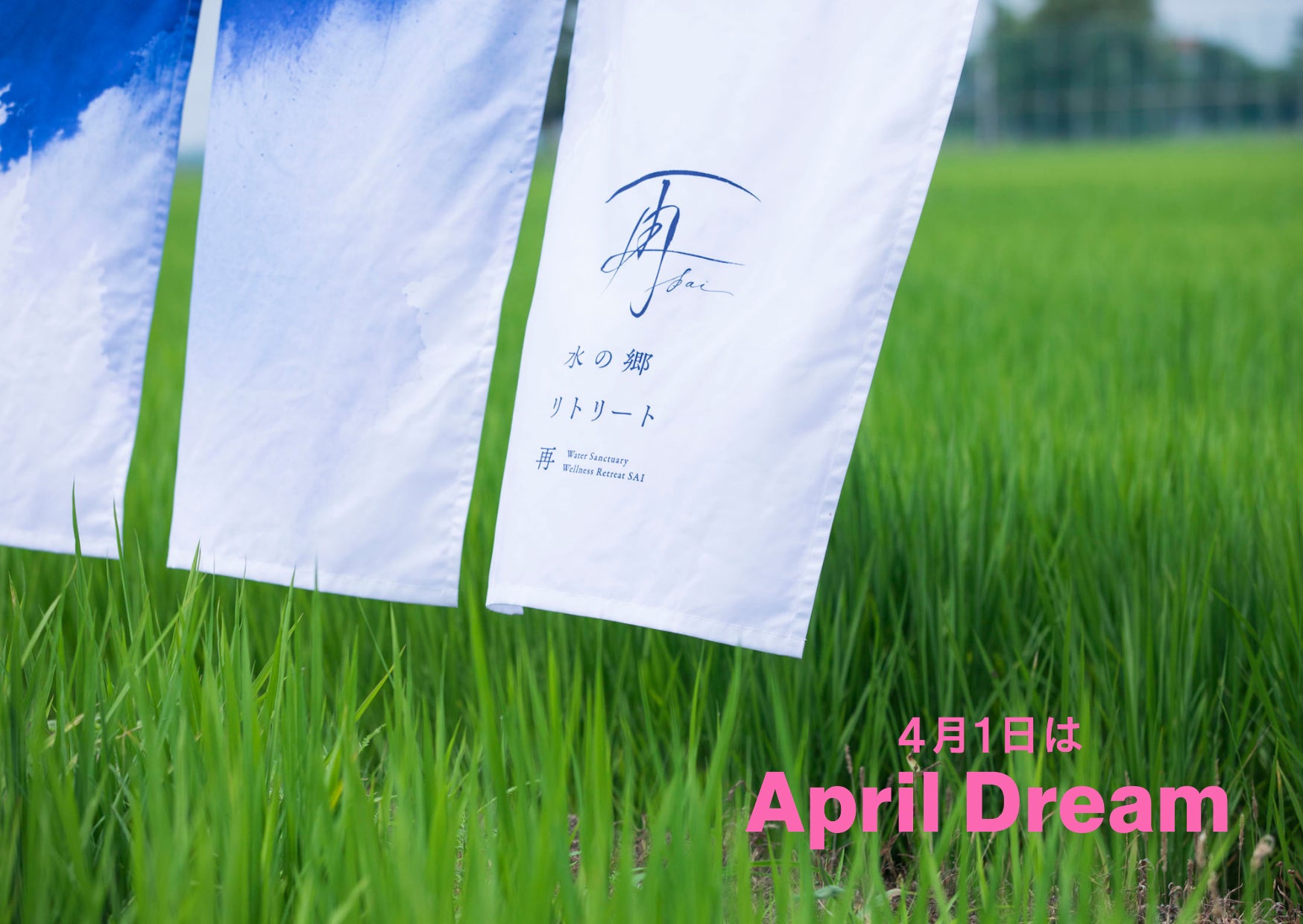 【福岡・大名】「mizuka Daimyo 4」を「ナインステイツホテル福岡天神西」としてNext STAYが運営開始