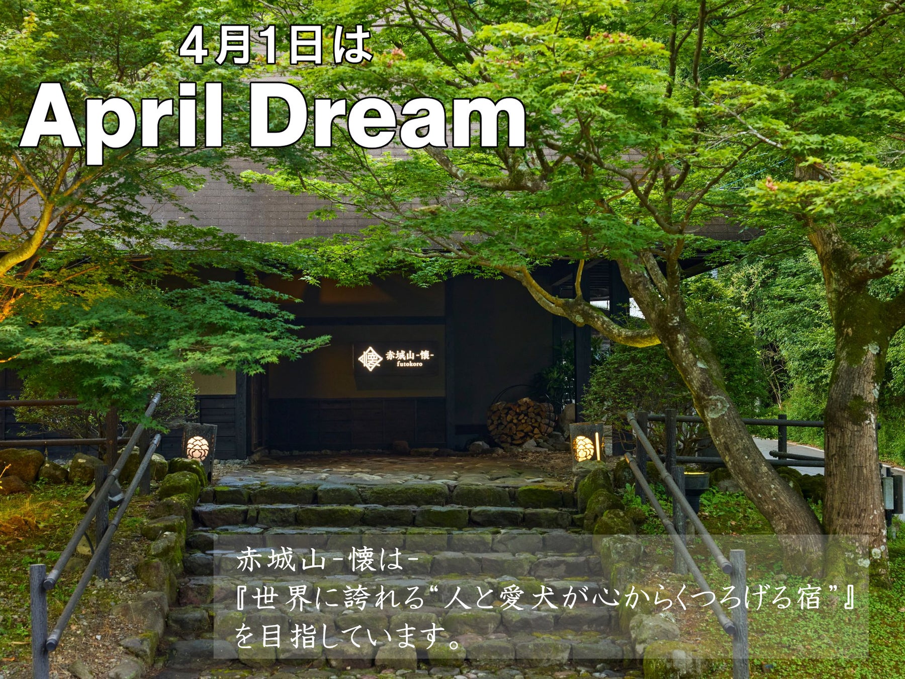 「人と愛犬が心からくつろげる宿を、世界へ。」愛犬と泊まれる古民家リトリート赤城山-懐-のめざす夢