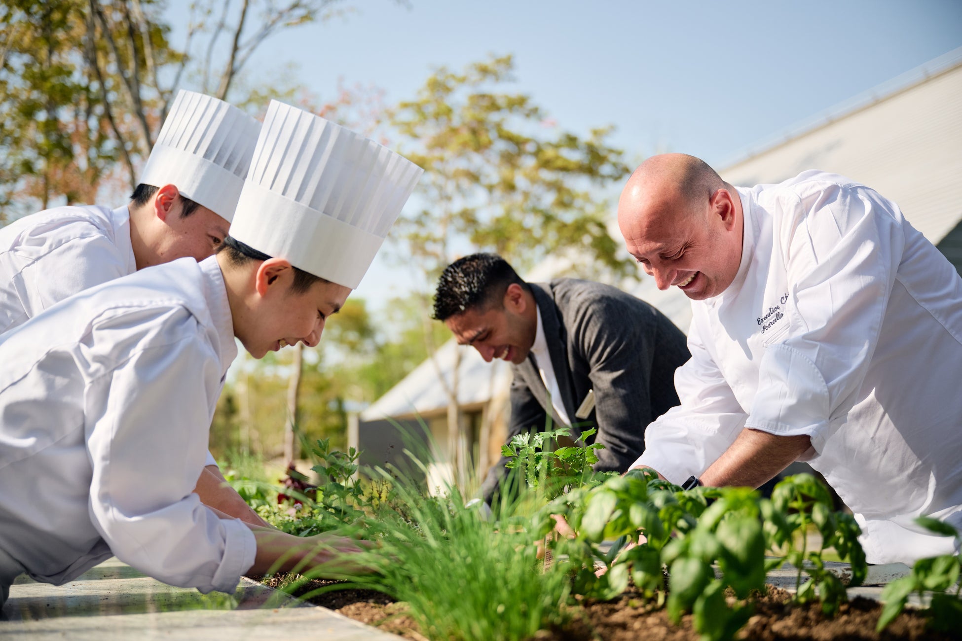 総勢100名様に当たる!アンケートに答えて、夢のリゾートバケーションへ!キャンペーン