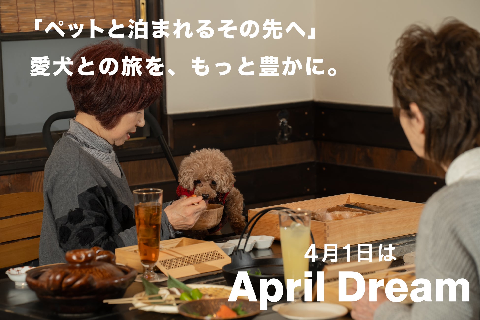 ​​「ペットと泊まれるその先へ」愛犬との旅を、もっと自然に。やま星が描く新しい旅のカタチ