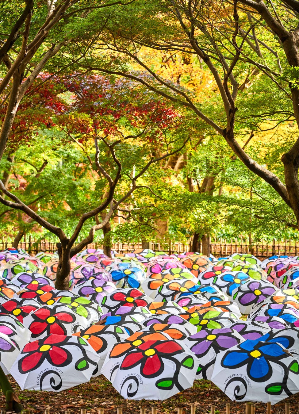 【水の家✖️芸術家ミレイヒロキ】伊豆高原五月祭にて大規模インスタレーションを開催「つながり・環境と生命」