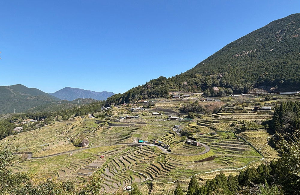 【フェアフィールド・バイ・マリオット 道の駅プロジェクト】三重県熊野市「丸山千枚田」での畦ぬり体験参加者を募集！