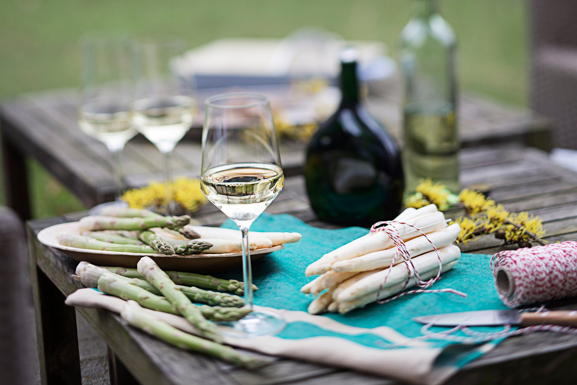 ホテルグランバッハ東京銀座｜ドイツワイン・クイーン来日特別イベント「ドイツワインの夕べ 2026」を開催