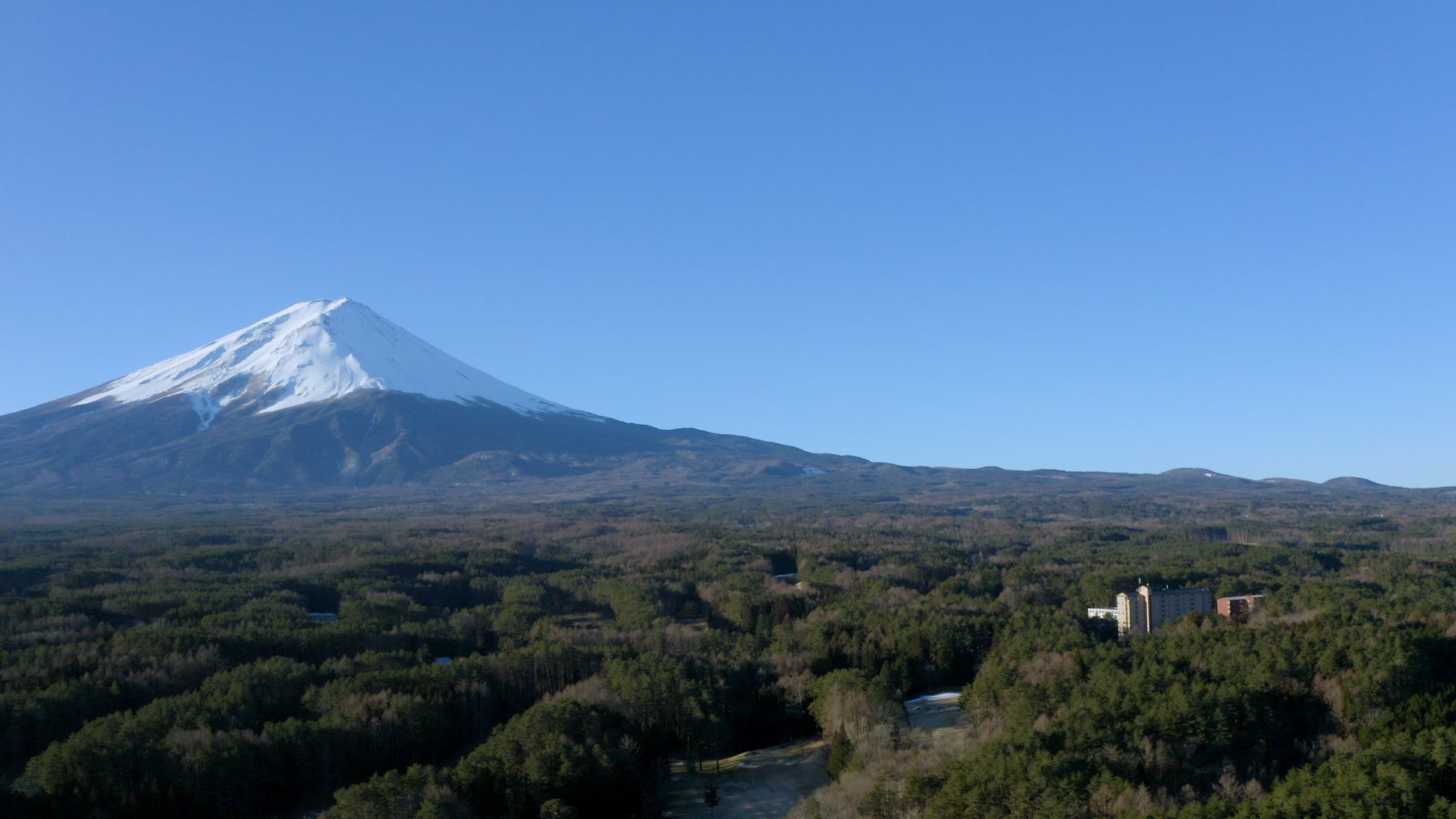 【ヒルナンデス！紹介】富士箱根伊豆国立公園の広大な森で「心身をリカバリー」。最新スイートルームがフジプレミアムリゾートに誕生。