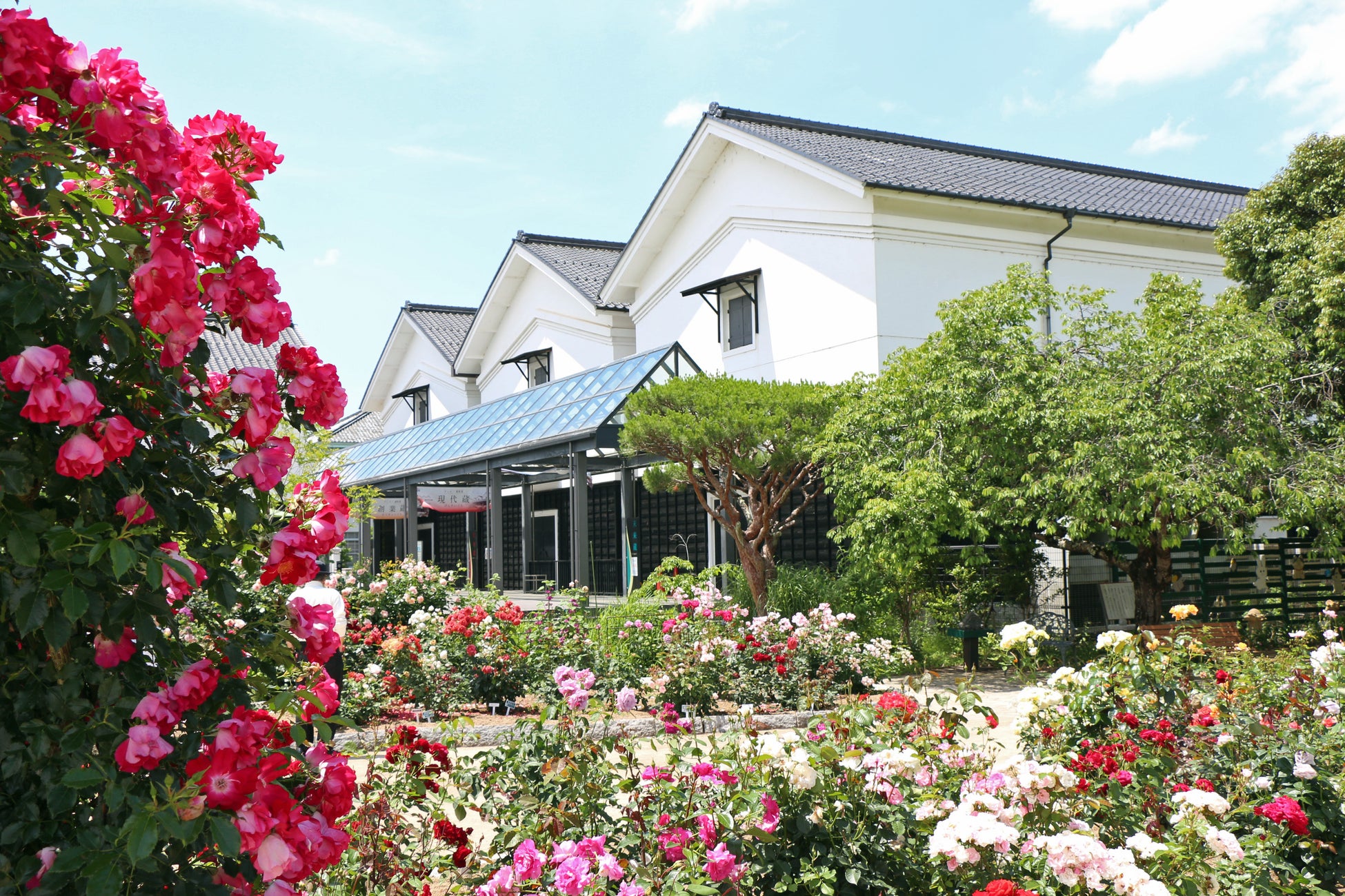 グンゼ博物苑、2025年度の年間入場者数が過去最高の8万人を突破！