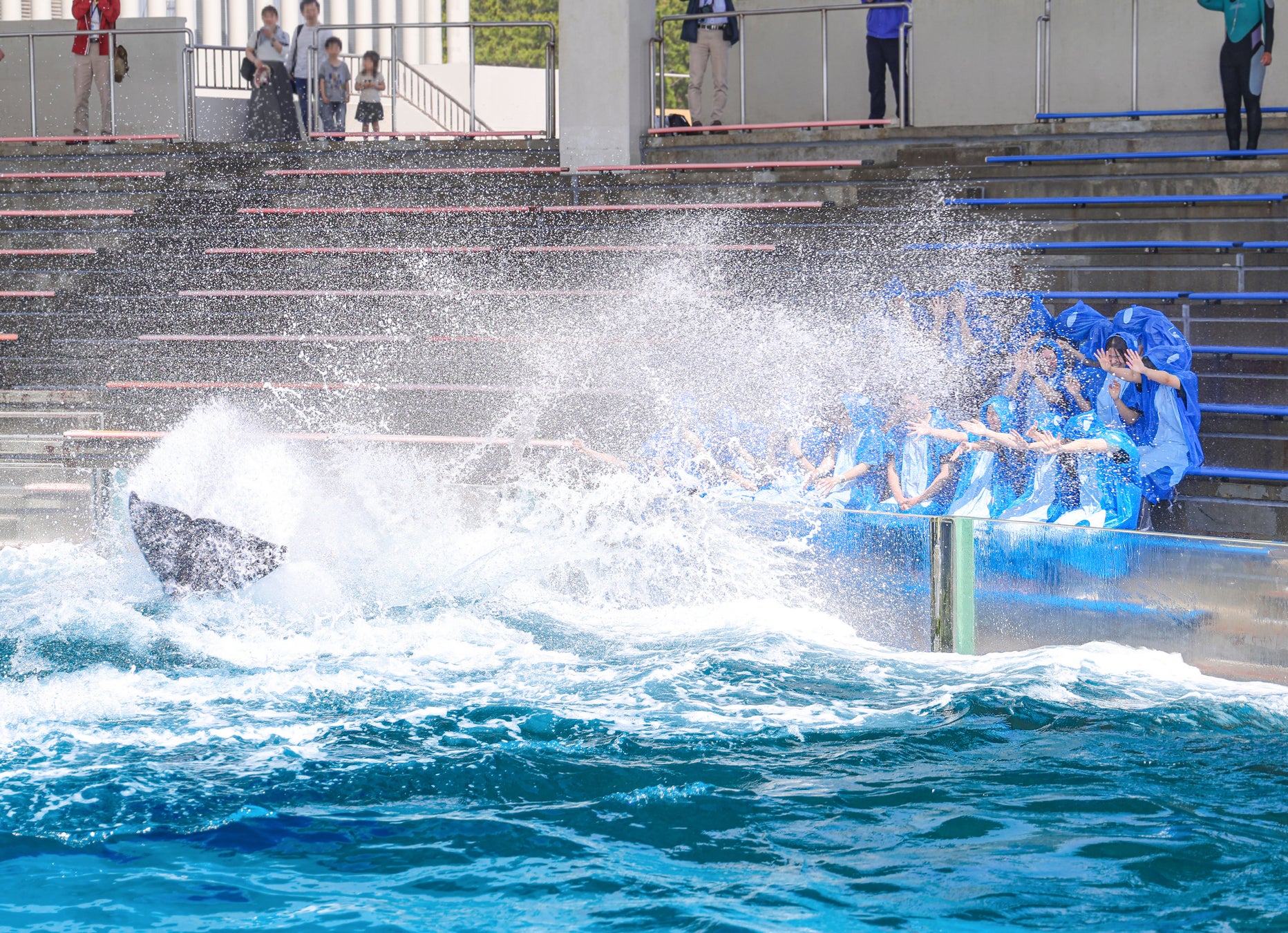 【鴨川シーワールド】日本屈指の激しい入社式！新入社員がシャチの水しぶきを体験！！20名の新入社員を迎え入れ『2026年度入社式』を開催