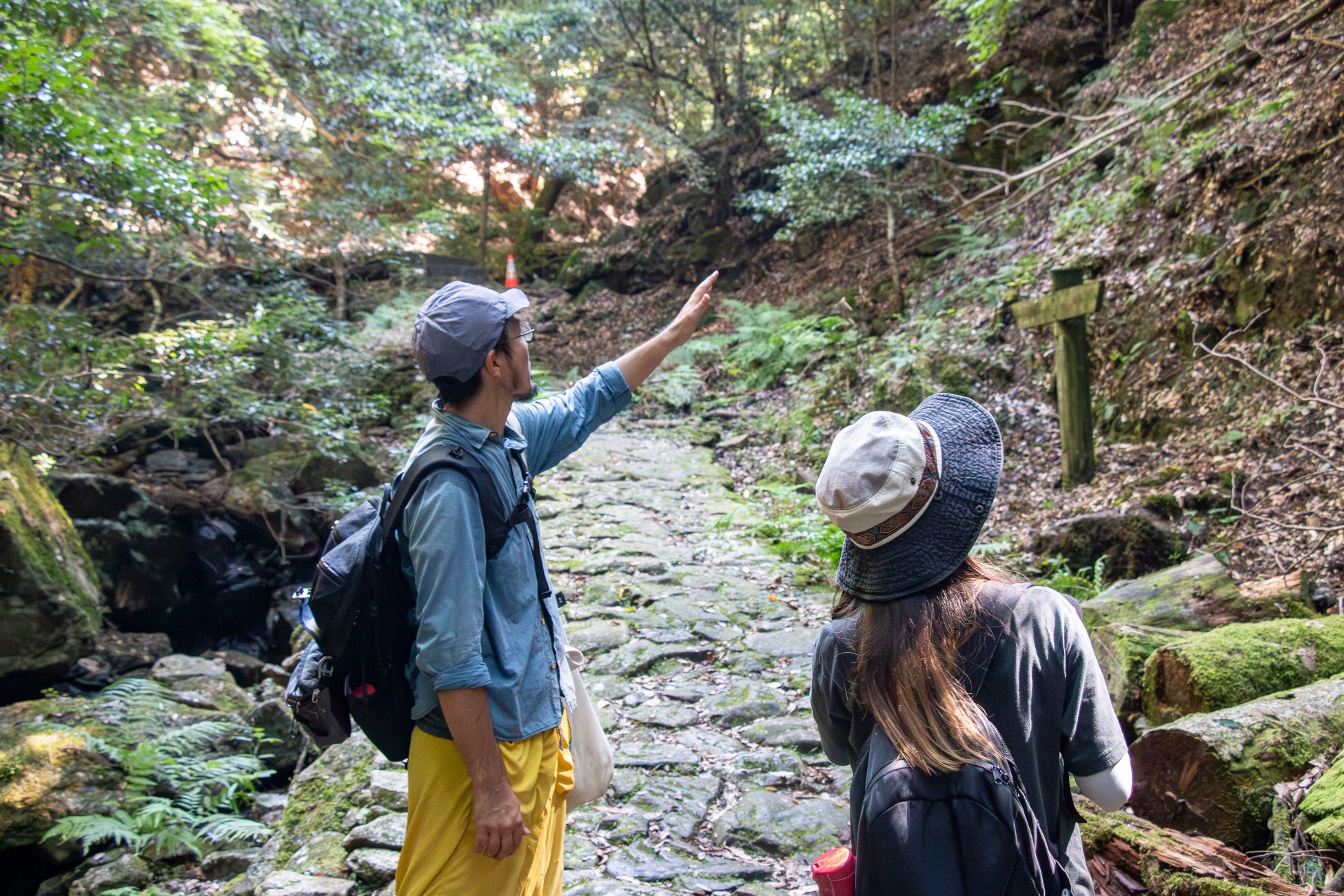 【奈良滞在体験レポート】“鎮守の森”が語りかける声に耳を澄ます「世界遺産春日山原始林ガイドウォーク」編