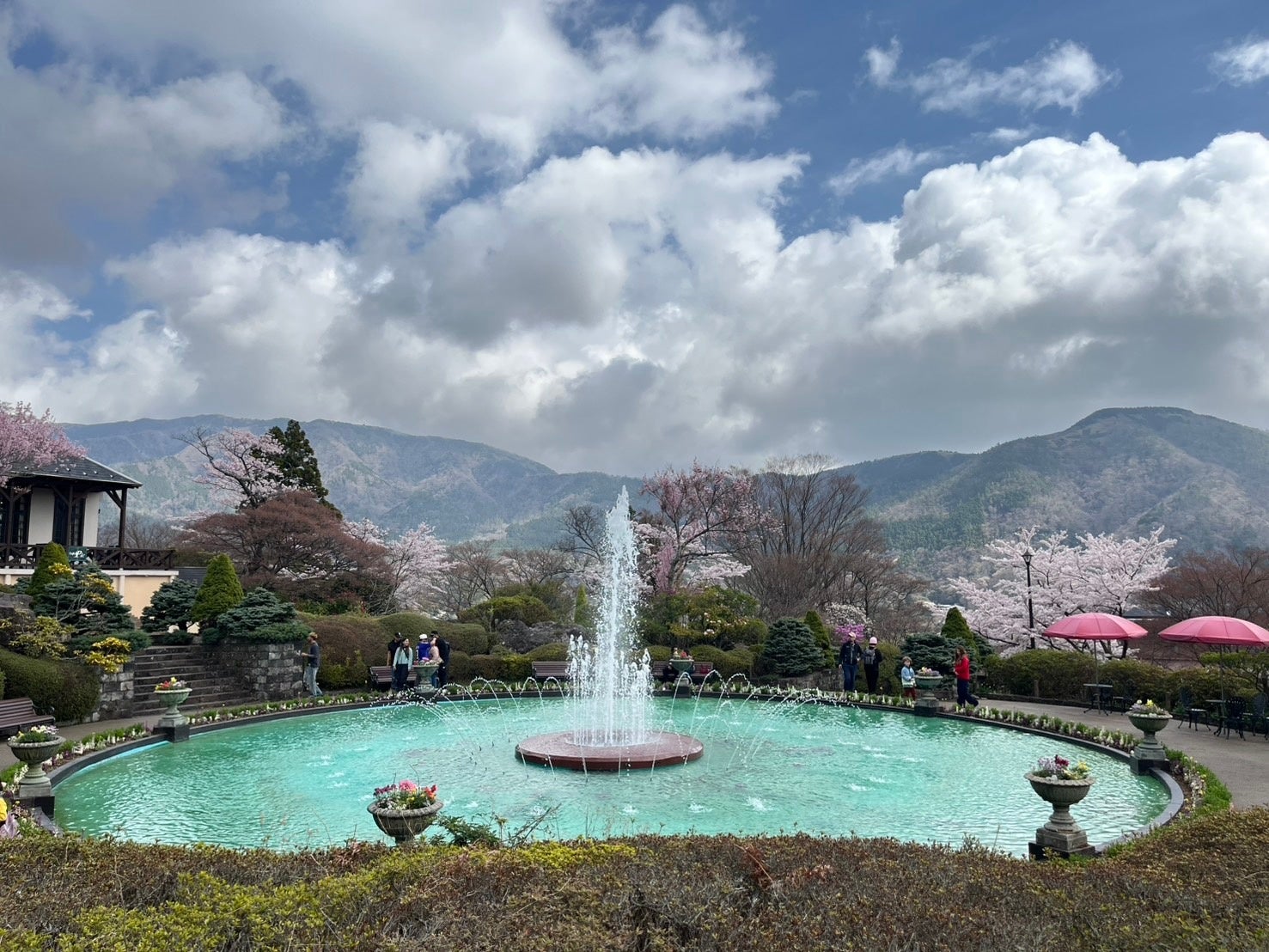 花々が彩る春の箱根強羅公園