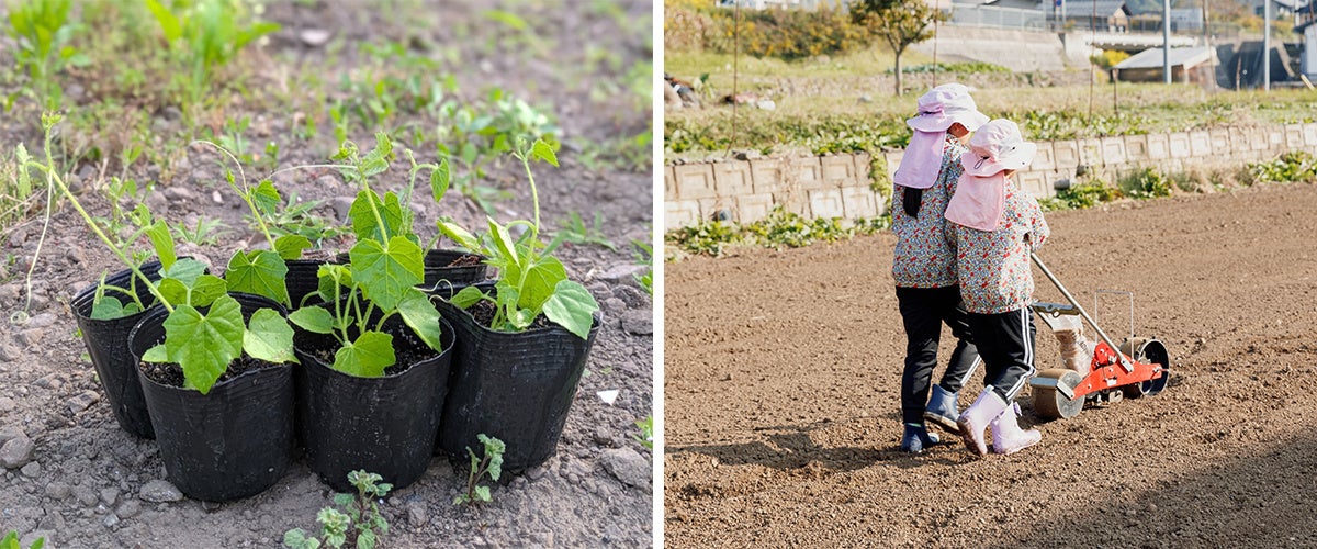 J-CAT×JR西日本「せとうちパレットプロジェクト」第2弾 瀬戸内エリアの滞在型観光を支える体験・旅のプログラムを拡充