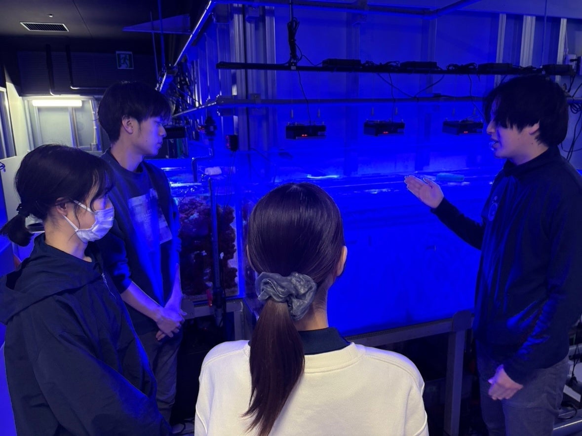 【星のやバリ】乾季のウブドで涼しく過ごす「ウブドの森の避暑地滞在」プラン販売