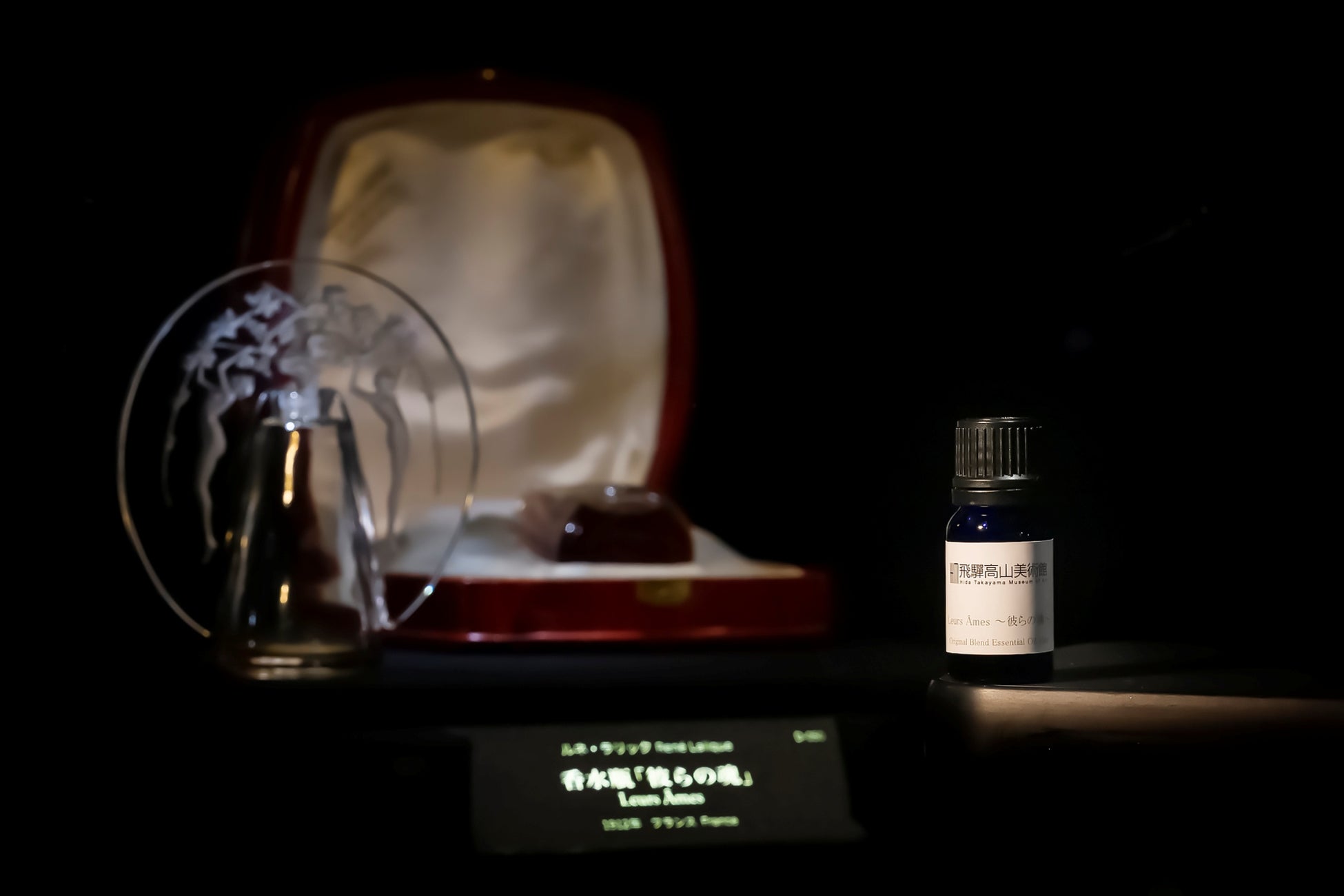 【リゾナーレ熱海】漁師の仕事と未利用魚を通して、海の未来を学ぶ「Fisherman’s Academy ~夏休みの自由研究~」開催