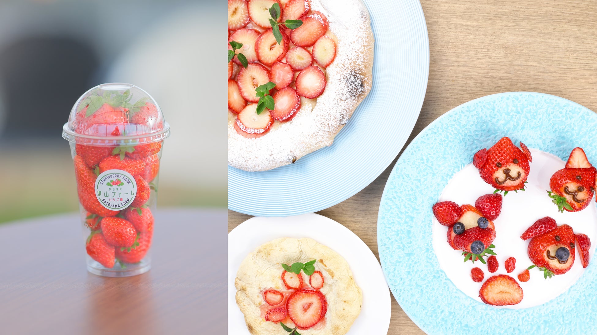 やちまた里山ファーム いちご園 春季限定・1日5組限定　収穫とデザート作りを楽しむ特別プラン