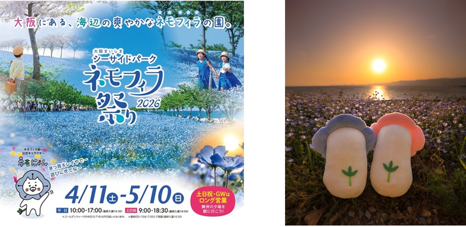 大阪春の風物詩 大阪まいしまシーサイドパーク「ネモフィラ祭り2026」　4月11日（土）からいよいよ開催！直行シャトルバス「ネモフィラライナー」の運行が決定