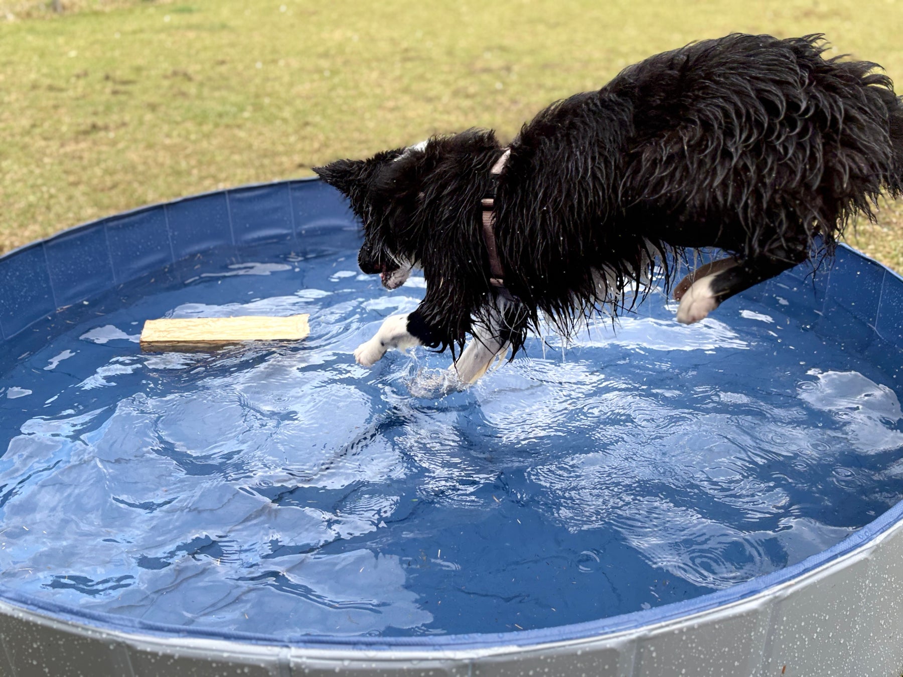 ニジゲンノモリが東京・南青山に出張出店！『ニジゲンノモリPOPUPストア in Annex　Aoyama』