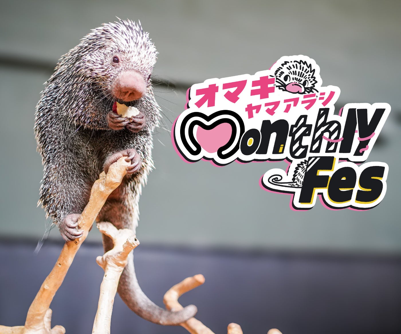 愛犬のみと安心して水あそびできる、わんちゃん専用プライベート・ミニプール(1.6m) サービス4/28開始