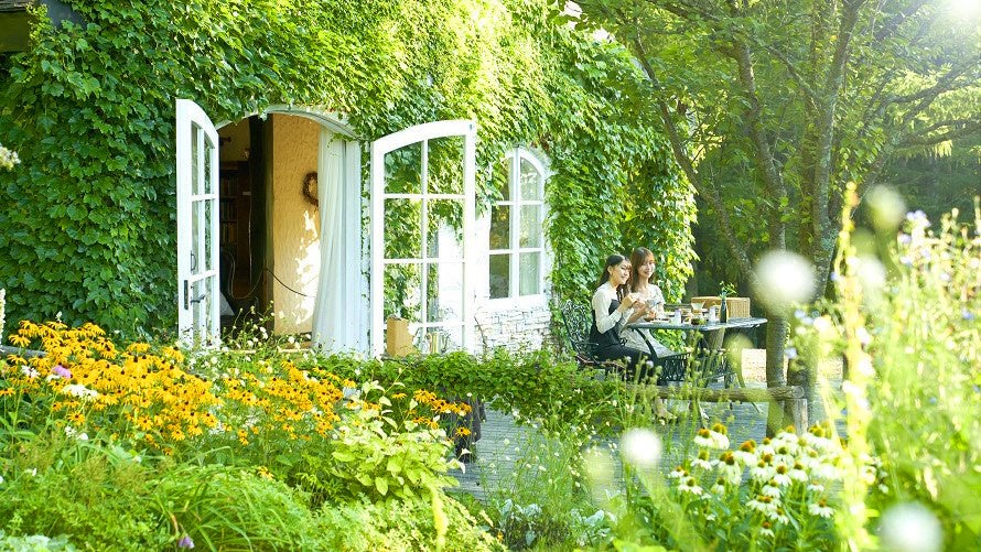 【新富良野プリンスホテル】1日1組だけの特別な朝。誰もいない早朝の「風のガーデン」を貸し切りに！花と緑の香り、やわらかな朝日に包まれて楽しむ絶景プライベートモーニング体験を今年も開催