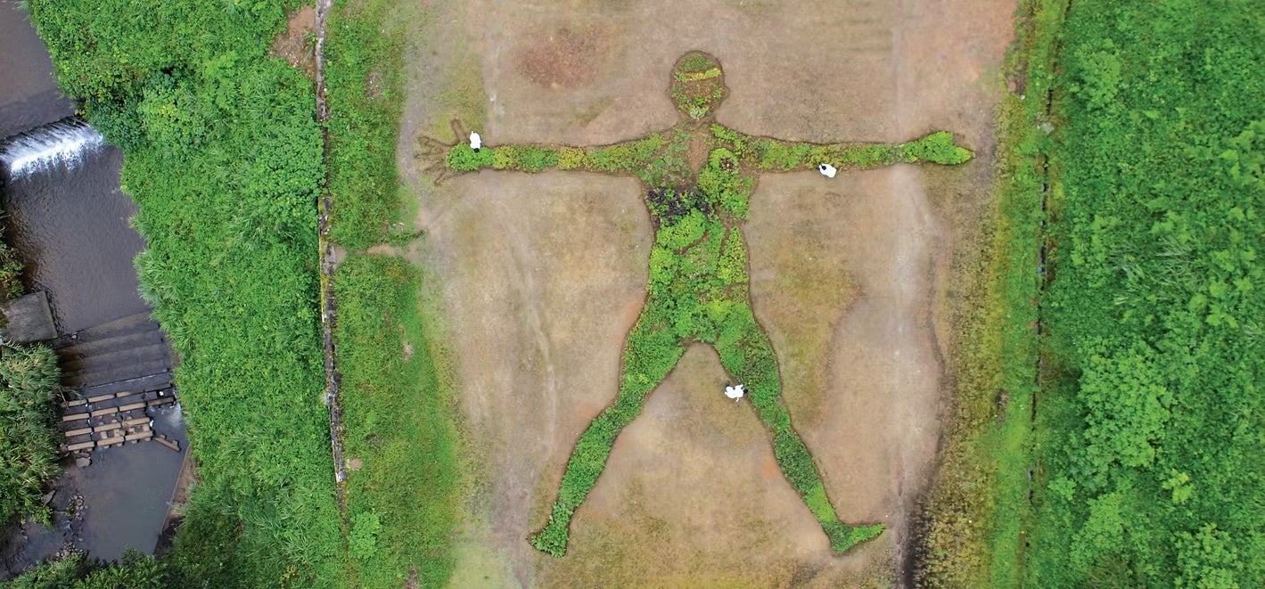 古くから薬草と深いゆかりのある多気町に、“人型のランドスケープアート”誕生！人型をした巨大なハーブ畑がVISONに登場