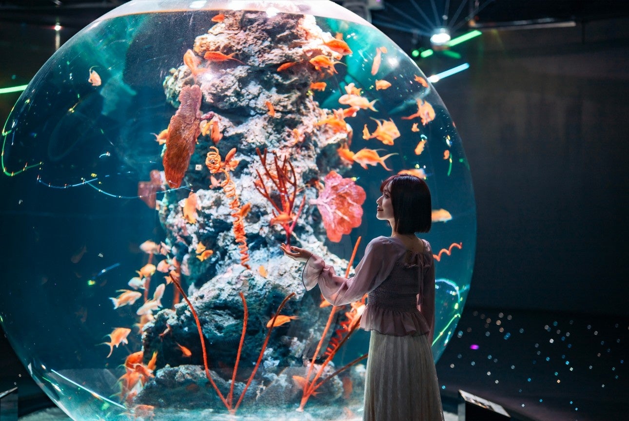 【シーガイア・オーシャン・ウエディング】“光が織りなす、祝福のヴェール。” フォトジェニックと上質感を両立。ウエディング専用のバンケットコーディネートがリニューアル