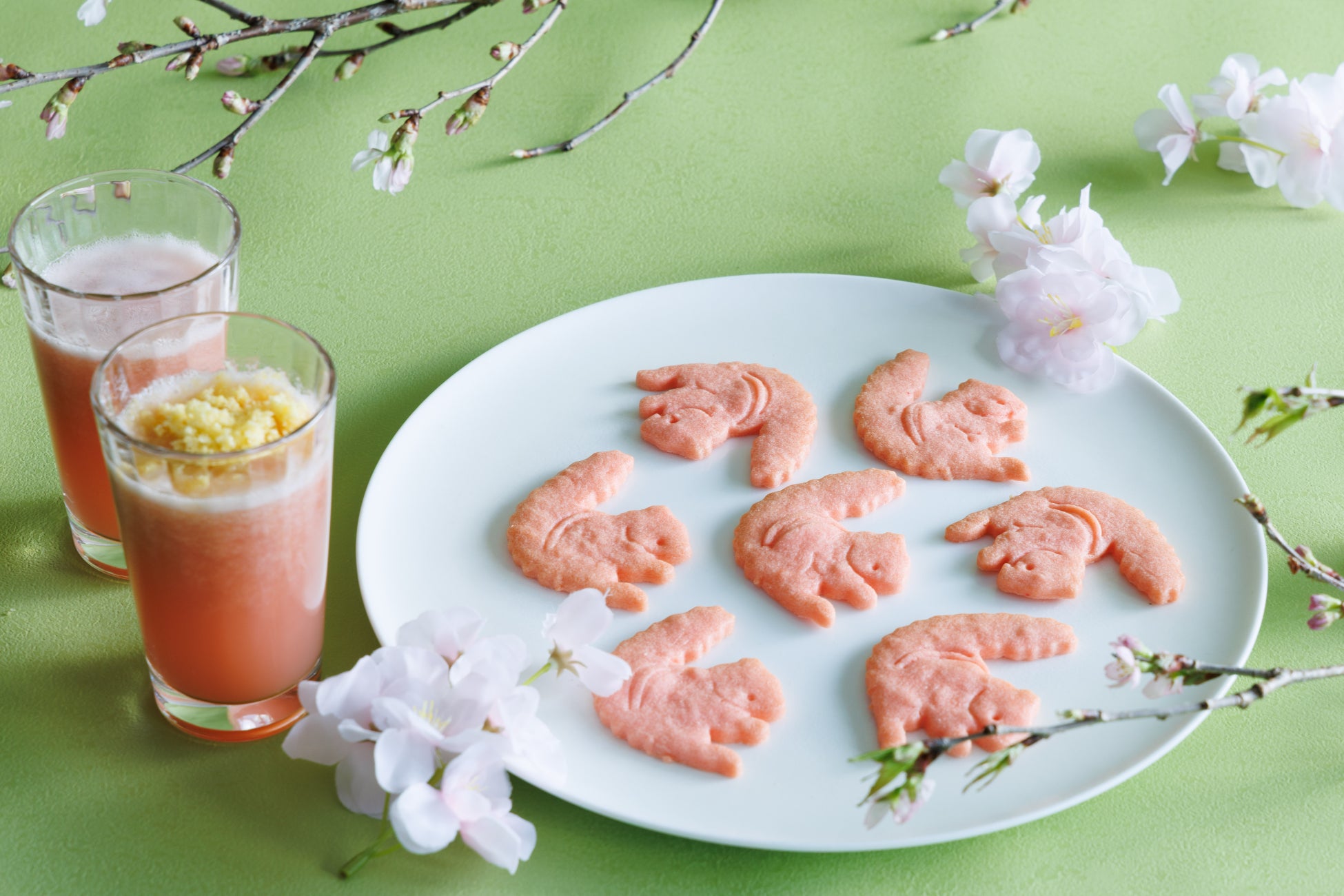 美しい自然環境に感謝する日“アースデイ”に贈る一枚ジョン・ミューアトレイルの風景を落とし込んだフォトTシャツ『Earthday Hardwear T』